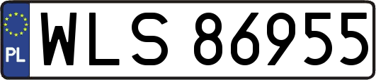 WLS86955
