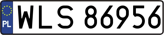 WLS86956