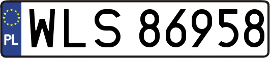 WLS86958