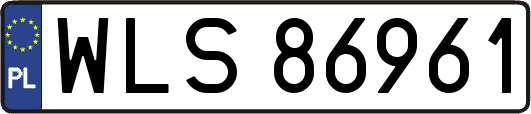 WLS86961