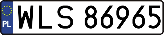 WLS86965