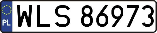 WLS86973
