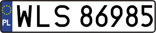 WLS86985