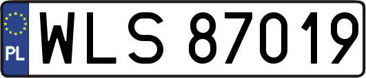 WLS87019