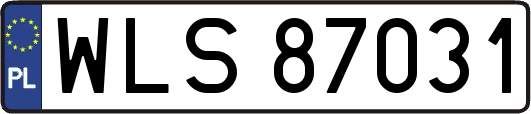 WLS87031
