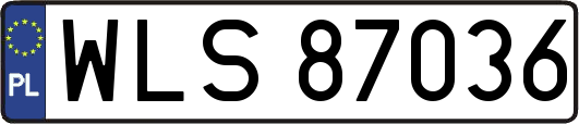 WLS87036