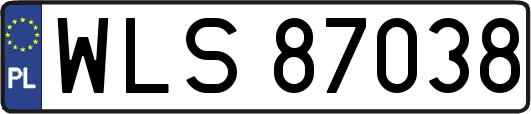WLS87038
