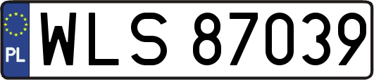 WLS87039