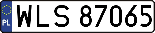 WLS87065