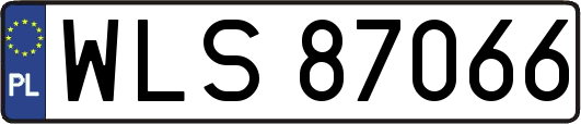 WLS87066