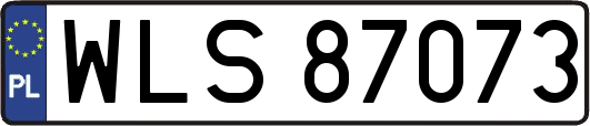 WLS87073