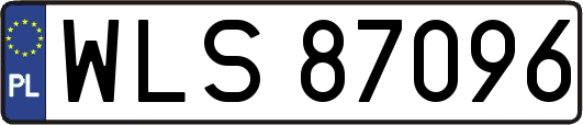 WLS87096
