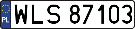 WLS87103