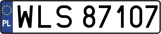 WLS87107