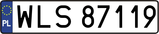 WLS87119