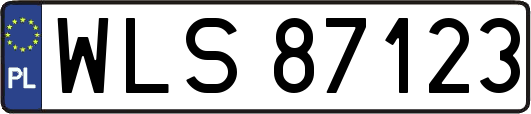 WLS87123