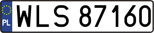 WLS87160