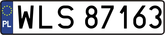 WLS87163