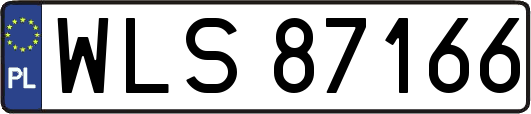 WLS87166