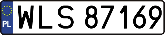 WLS87169