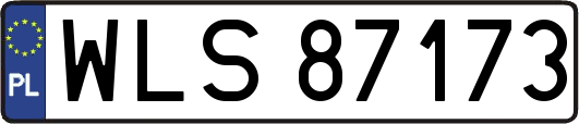 WLS87173