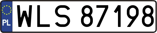 WLS87198