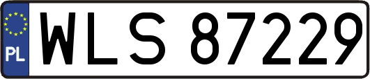 WLS87229