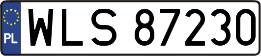 WLS87230