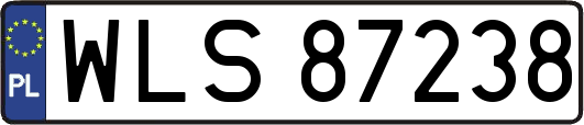 WLS87238