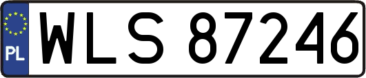 WLS87246