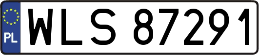 WLS87291