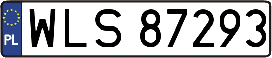 WLS87293