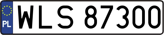 WLS87300
