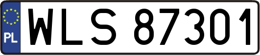 WLS87301