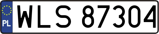 WLS87304