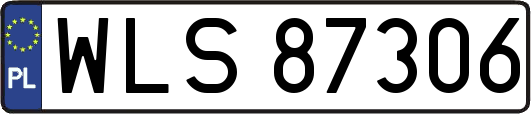 WLS87306