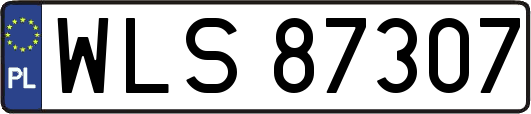 WLS87307