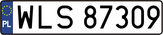 WLS87309