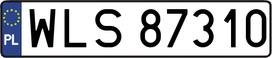 WLS87310