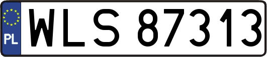 WLS87313