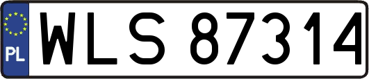 WLS87314