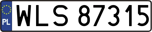 WLS87315