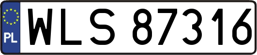 WLS87316