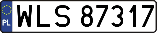 WLS87317