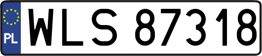 WLS87318
