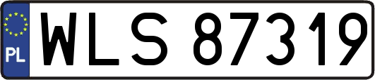 WLS87319