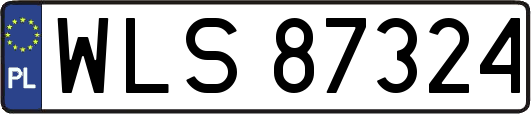WLS87324