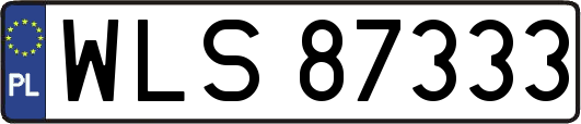 WLS87333