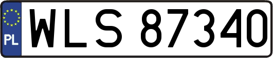 WLS87340
