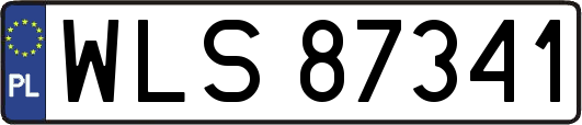 WLS87341